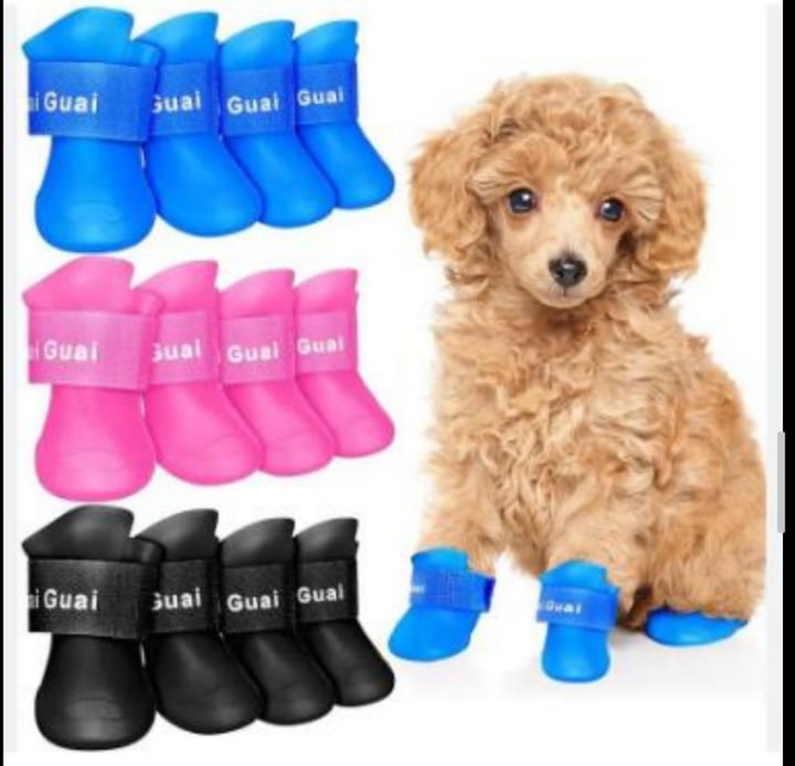 ZAPATOS PARA PERROS | PROTEGE SUS PATITAS Y TU HOGAR. (PACK X 4)